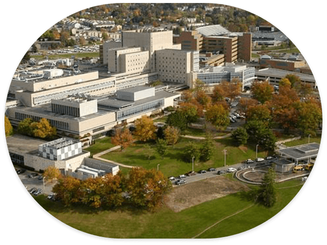 Aerial view of university campus